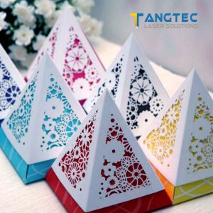 Tangtec Laser_applicant-paper