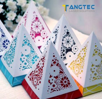 Tangtec Laser_applicant-paper