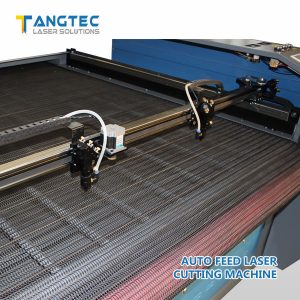 Tangteclaser-Auto feed laser cutting machine