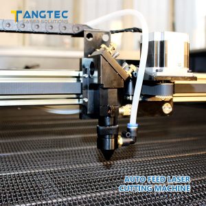 Tangteclaser-Auto feed laser cutting machine