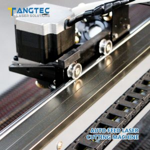 Tangteclaser-Auto feed laser cutting machine
